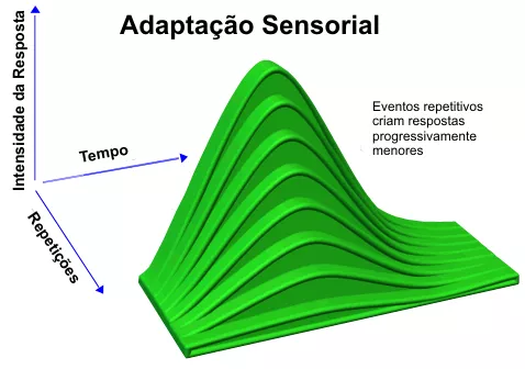 gráfico de adaptação sensorial