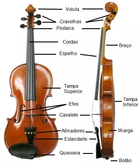 partes do violino