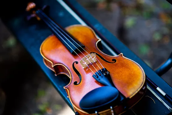 violino foto closeup