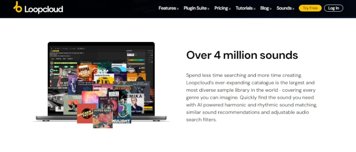 Loopcloud